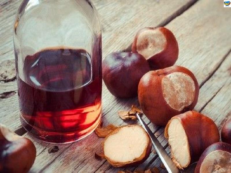 Боль в суставах сразу отступает. Настойка каштана – как приготовить и как применять