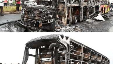 Страшна трагедія: десятки пасажирів згоріли живцеми просто у автобусі Страшна трагедія: десятки пасажирів згоріли живцеми просто у автобусі