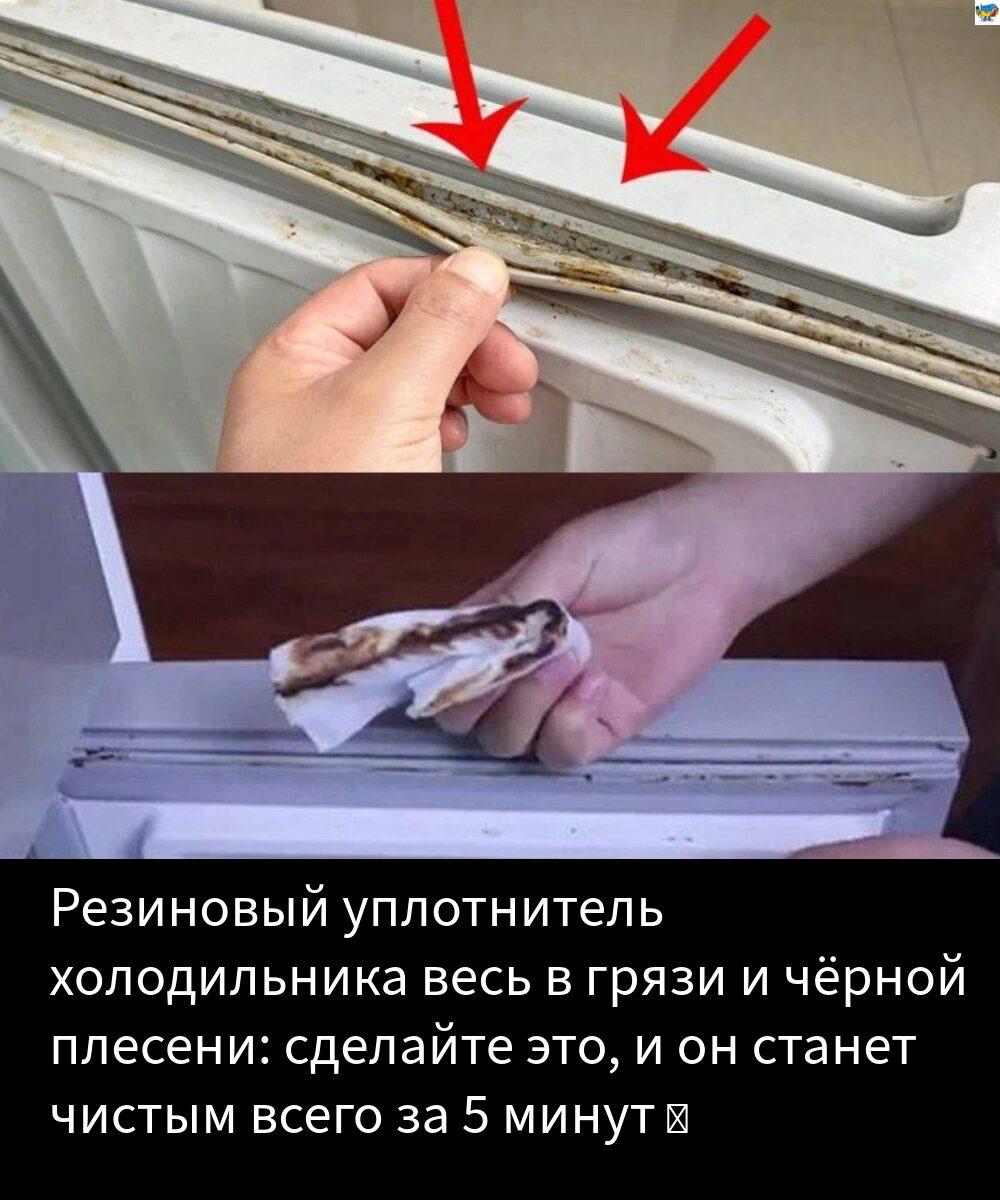 Як почистити гумовий ущільнювач холодильника Як почистити гумовий ущільнювач холодильника