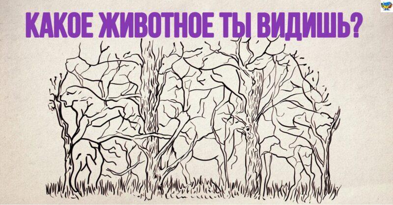Первое животное, которое заметишь на картинке, поведает о тебе всё