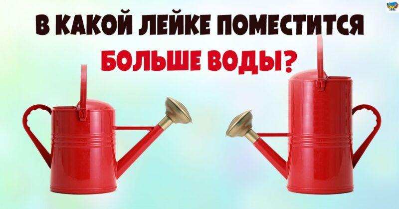 Задачка на логику: в какую лейку поместится больше воды