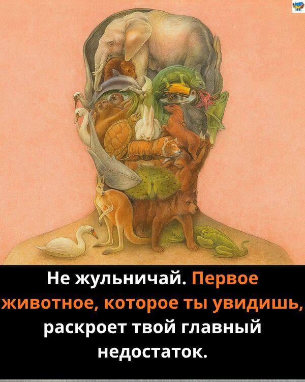 Первое животное, которое ты увидишь на этой картинке, раскроет твой «худший недостаток». Первое животное, которое ты увидишь на этой картинке, раскроет твой «худший недостаток».