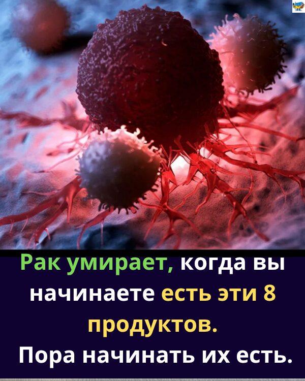 8 найкращих продуктів проти раку. Настав час включити їх у свій раціон