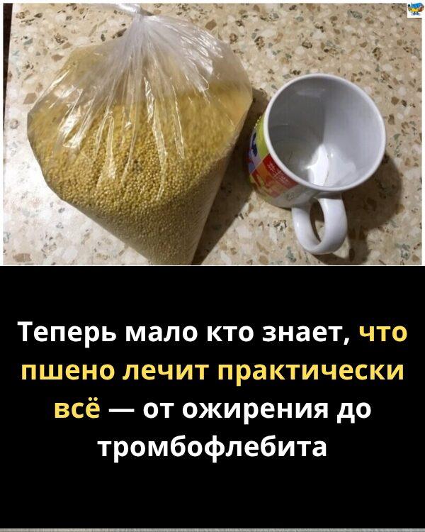 Теперь мало кто знает, что пшено лечит практически всё — от ожирения до тромбофлебита Теперь мало кто знает, что пшено лечит практически всё — от ожирения до тромбофлебита