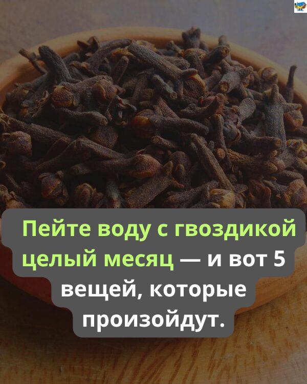 Цветочная сила: 8 полезных свойств гвоздики, о которых вы, вероятно, не знали