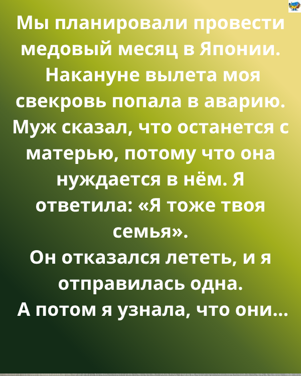 Мы планировали провести медовый месяц в Японии. Поездка, которую готовили целый год — капсульные отели, прогулки под сакурой. Но накануне вылета мне сообщили, что свекровь попала в аварию.