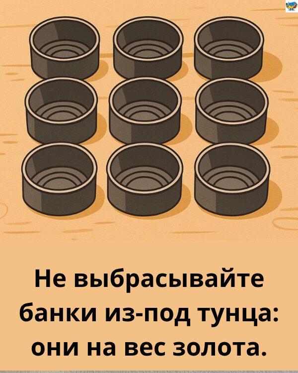 Креативные способы использования банок из-под тунца для хранения еды в холодильнике