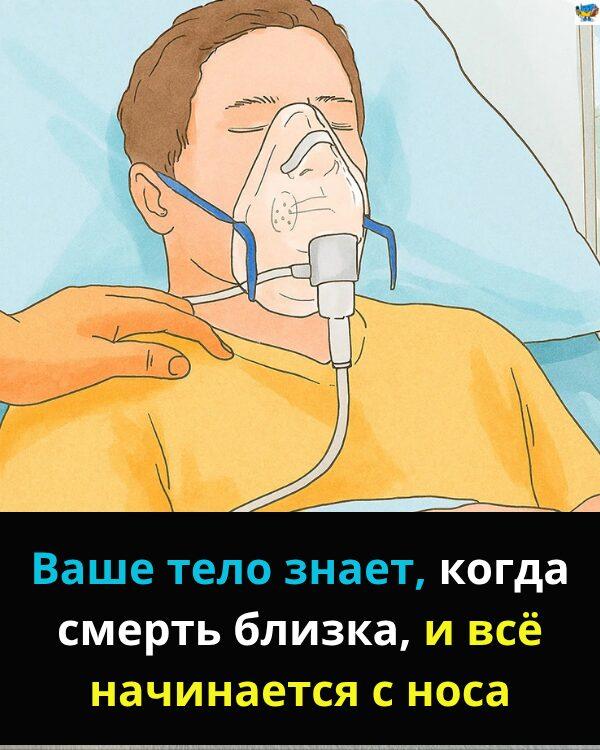 Чи можуть люди відчувати наближення смерті? Вчені розкрили шокуючу правду